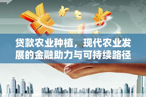 元长贷款农业种植，现代农业发展的金融助力与可持续路径