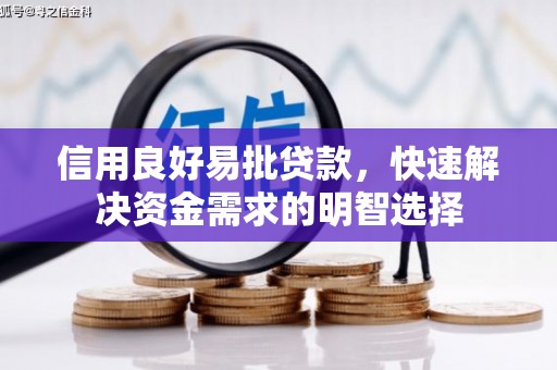 元长信用良好易批贷款，快速解决资金需求的明智选择