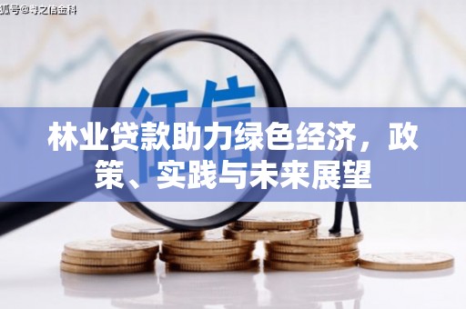 元长林业贷款助力绿色经济，政策、实践与未来展望