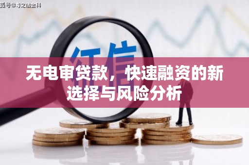 元长无电审贷款，快速融资的新选择与风险分析