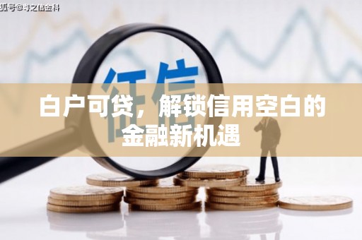 元长白户可贷，解锁信用空白的金融新机遇