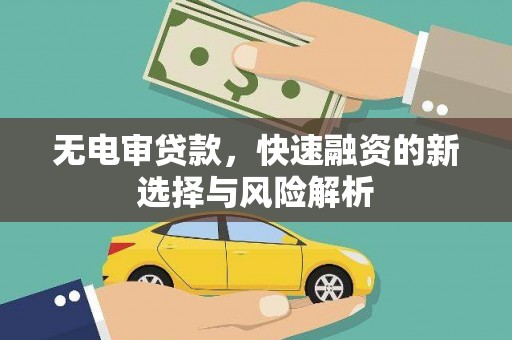 元长无电审贷款，快速融资的新选择与风险解析