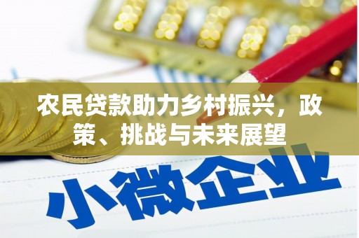 元长农民贷款助力乡村振兴，政策、挑战与未来展望