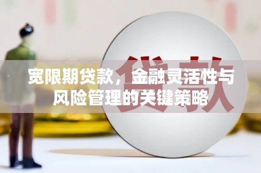 元长宽限期贷款，金融灵活性与风险管理的关键策略