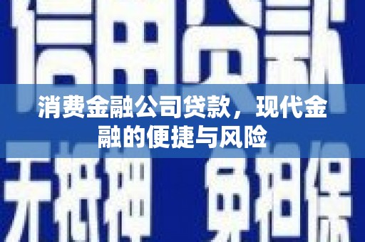 元长消费金融公司贷款，现代金融的便捷与风险