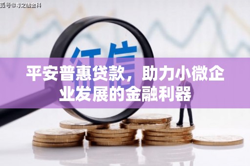 元长平安普惠贷款，助力小微企业发展的金融利器