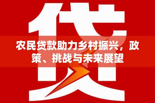 元长农民贷款助力乡村振兴，政策、挑战与未来展望