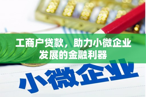 元长工商户贷款，助力小微企业发展的金融利器