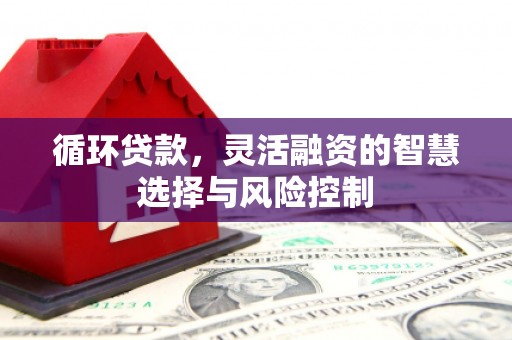 元长循环贷款，灵活融资的智慧选择与风险控制