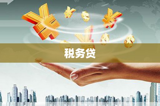 元长税务贷