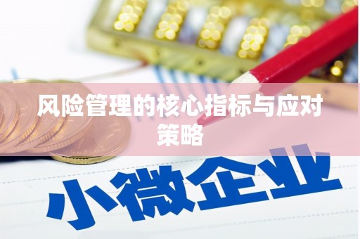 元长风险管理的核心指标与应对策略