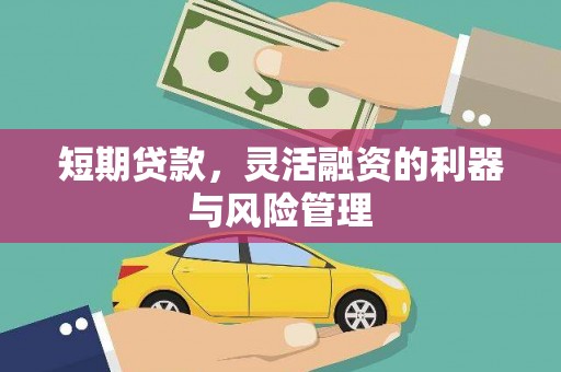 元长短期贷款，灵活融资的利器与风险管理