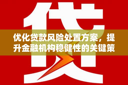 元长优化贷款风险处置方案，提升金融机构稳健性的关键策略