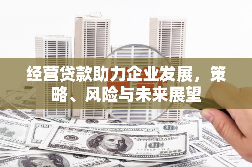 元长经营贷款助力企业发展，策略、风险与未来展望