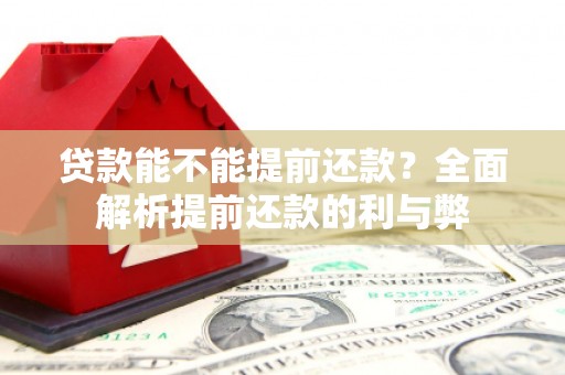 元长贷款能不能提前还款？全面解析提前还款的利与弊