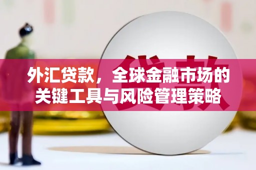 元长外汇贷款，全球金融市场的关键工具与风险管理策略