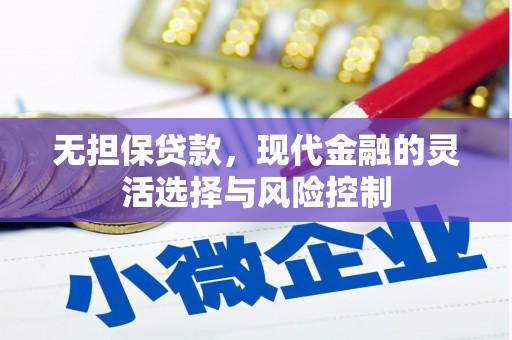 元长无担保贷款，现代金融的灵活选择与风险控制