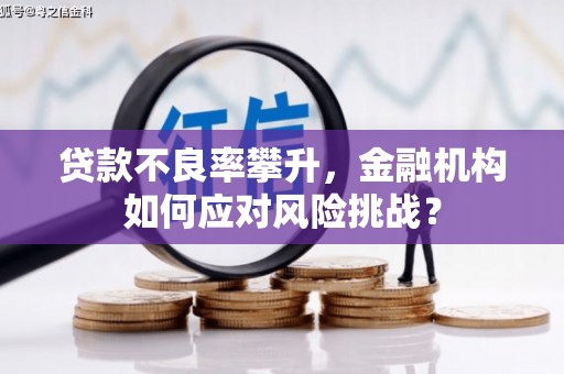元长贷款不良率攀升，金融机构如何应对风险挑战？