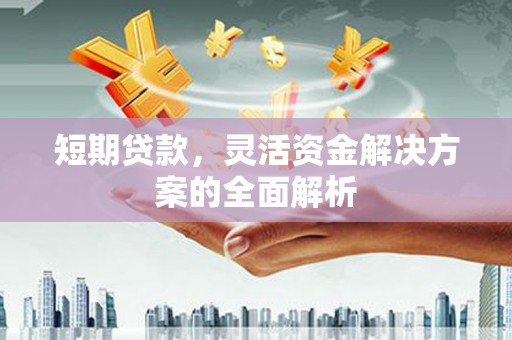 元长短期贷款，灵活资金解决方案的全面解析