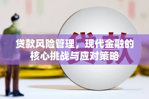 元长贷款风险管理，现代金融的核心挑战与应对策略