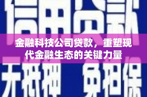 元长金融科技公司贷款，重塑现代金融生态的关键力量
