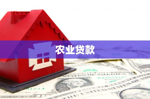 元长农业贷款