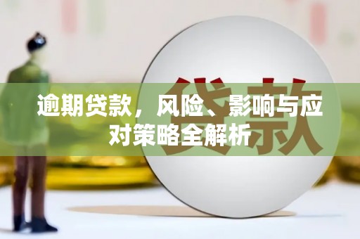 元长逾期贷款，风险、影响与应对策略全解析