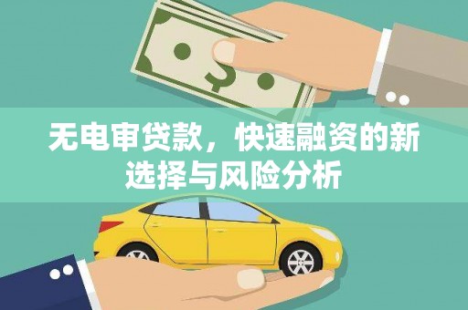 元长无电审贷款，快速融资的新选择与风险分析