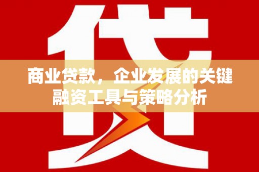元长商业贷款，企业发展的关键融资工具与策略分析