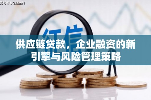 元长供应链贷款，企业融资的新引擎与风险管理策略