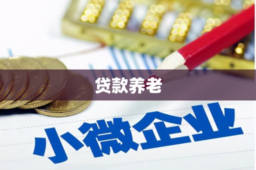 元长贷款养老