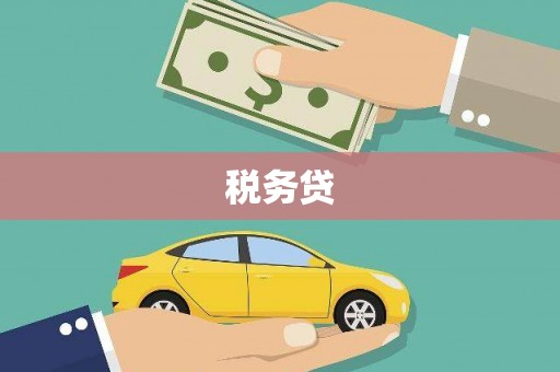 元长税务贷