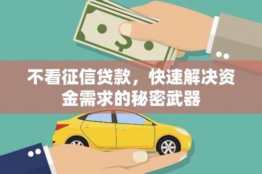 元长不看征信贷款，快速解决资金需求的秘密武器