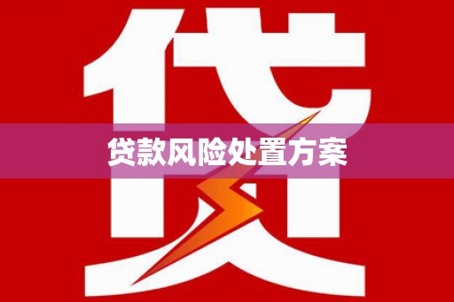 元长贷款风险处置方案