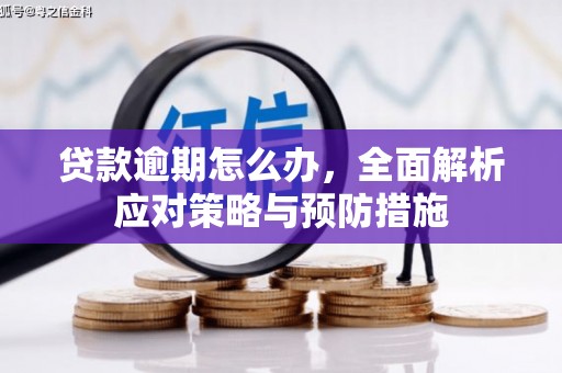 元长贷款逾期怎么办，全面解析应对策略与预防措施