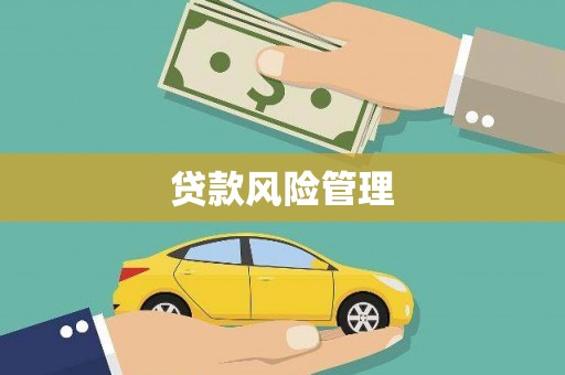 元长贷款风险管理
