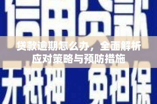 元长贷款逾期怎么办，全面解析应对策略与预防措施