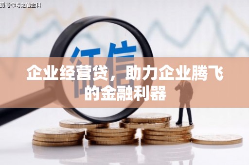 元长企业经营贷，助力企业腾飞的金融利器