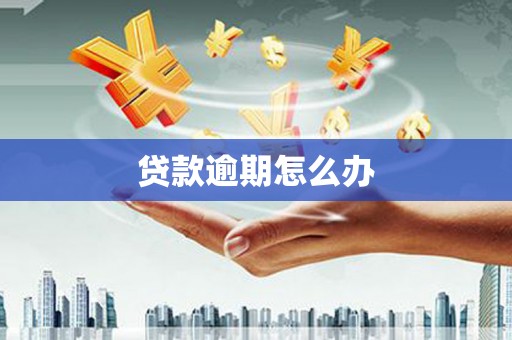 元长贷款逾期怎么办
