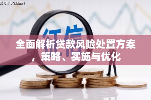元长全面解析贷款风险处置方案，策略、实施与优化