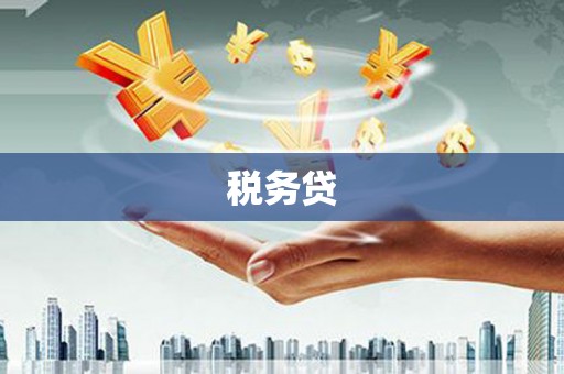元长税务贷