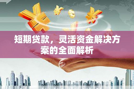 元长短期贷款，灵活资金解决方案的全面解析