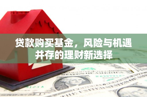 元长贷款购买基金，风险与机遇并存的理财新选择