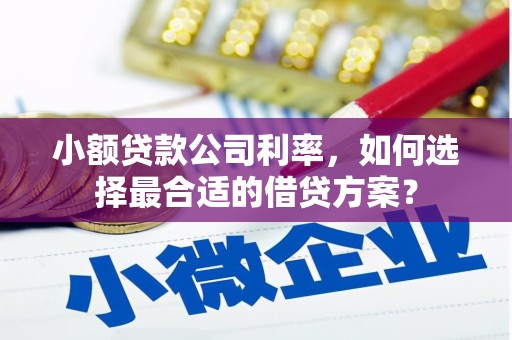 元长小额贷款公司利率，如何选择最合适的借贷方案？