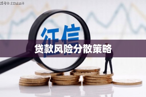 元长贷款风险分散策略