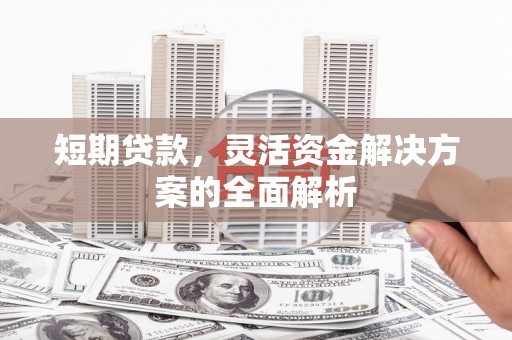 元长短期贷款，灵活资金解决方案的全面解析