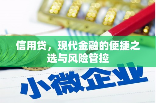 元长信用贷，现代金融的便捷之选与风险管控