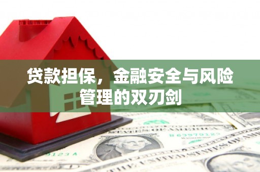 元长贷款担保，金融安全与风险管理的双刃剑
