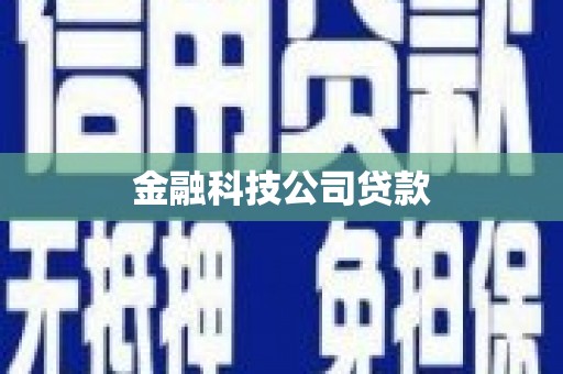 元长金融科技公司贷款