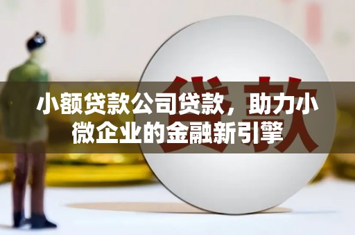 元长小额贷款公司贷款，助力小微企业的金融新引擎